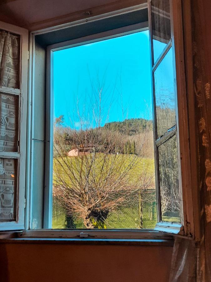 Agriturismo Tenuta Adamo Lucca Luaran gambar